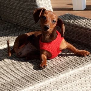 Meet your Posher, Jen